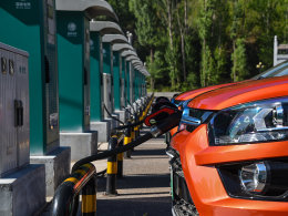 �������׮�����ݣ������ѳ���20���