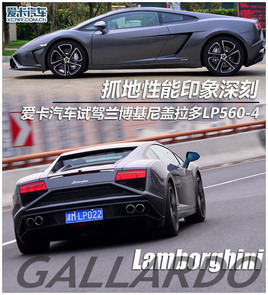 ץ�����܏��� �ۿ�ԇ�{�m������LP560-4