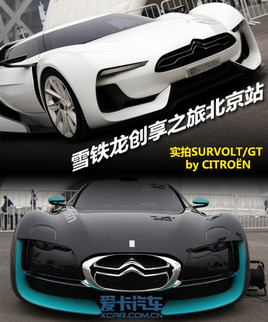 SURVOLT/GT ѩF֮ñվ