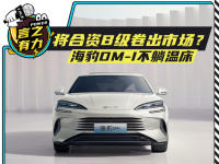 将合资B级卷出市场？海豹DM-i不躺温床