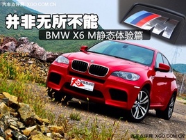 鼫ܣȲ2010X6 M